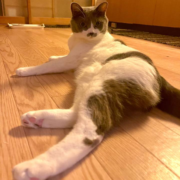 F40e7077 f192 4602 bd44 ff2def03969d 1664450976846