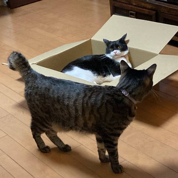 F40e9147 f1a0 4fa8 bf01 8651670157ba 1607672599630