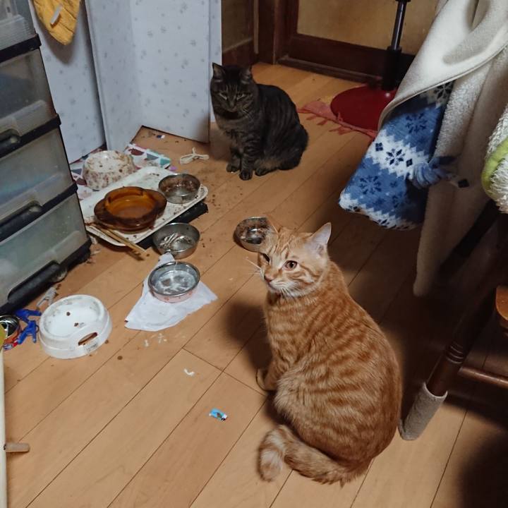 F40ea4e6 e802 4881 979e 06fefb2d6c01 1643885753723