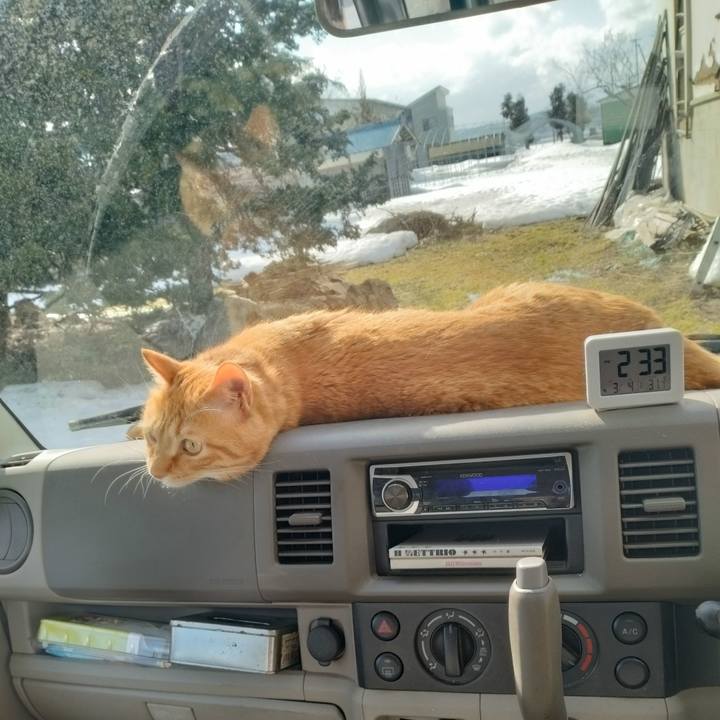 F40ea7bf 23fb 4e6d 9c23 9f76d45f4184 1677910922596