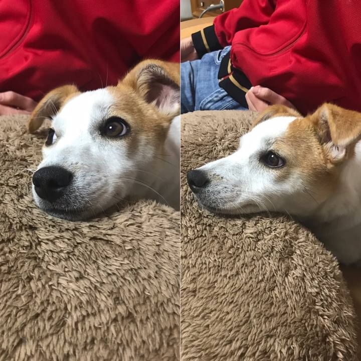 F40ef4a6 1915 465e a384 bb83f4d24c3a 1554038476619