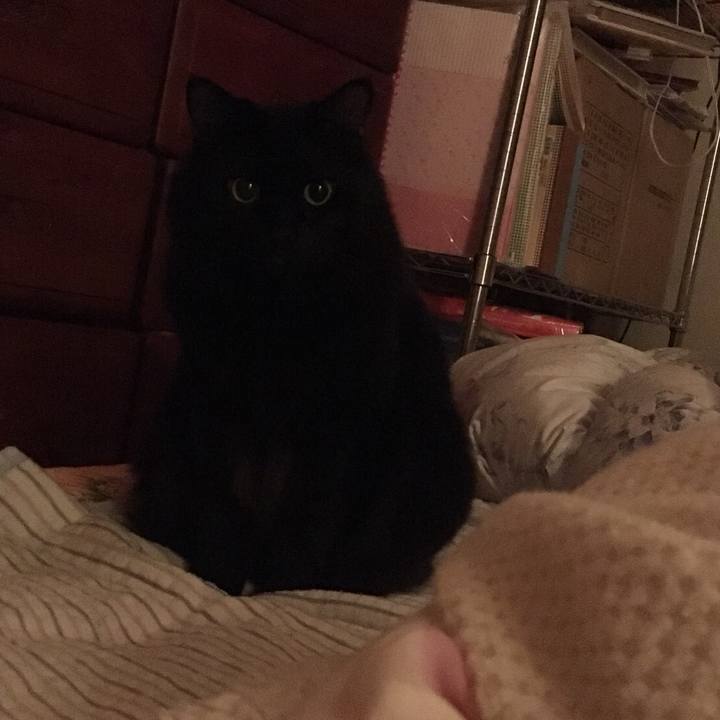 F40f3018 d592 44b5 9e6f f2fee297e5ab 1538530024425