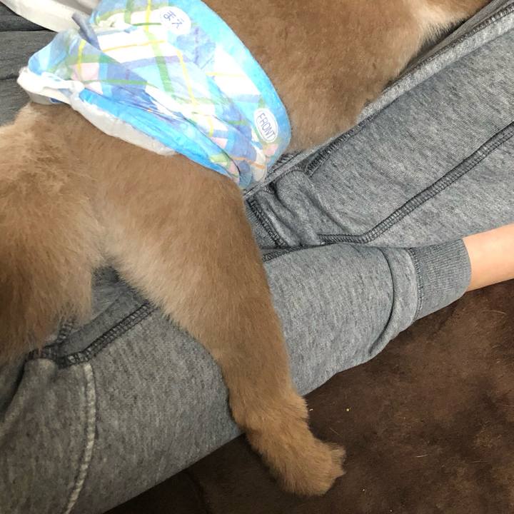 F40f53ba 6ed9 421c afd7 7bcfc71a77a8 1560289617618