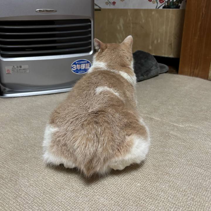 F40f5710 1be2 47a8 9916 a8c64edb58e8 1770595613308