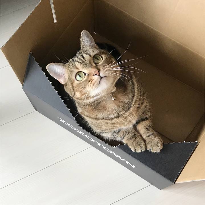 F40f73d8 5329 4bc3 9bd2 3d908d954235 1508815800269