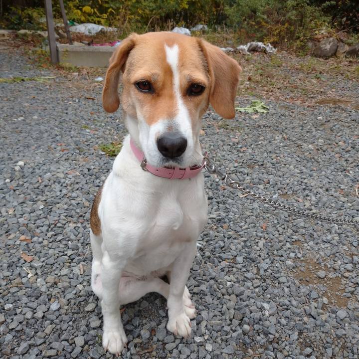 F40fbd88 23f4 4726 aded 6a91e84e0f84 1575949207415