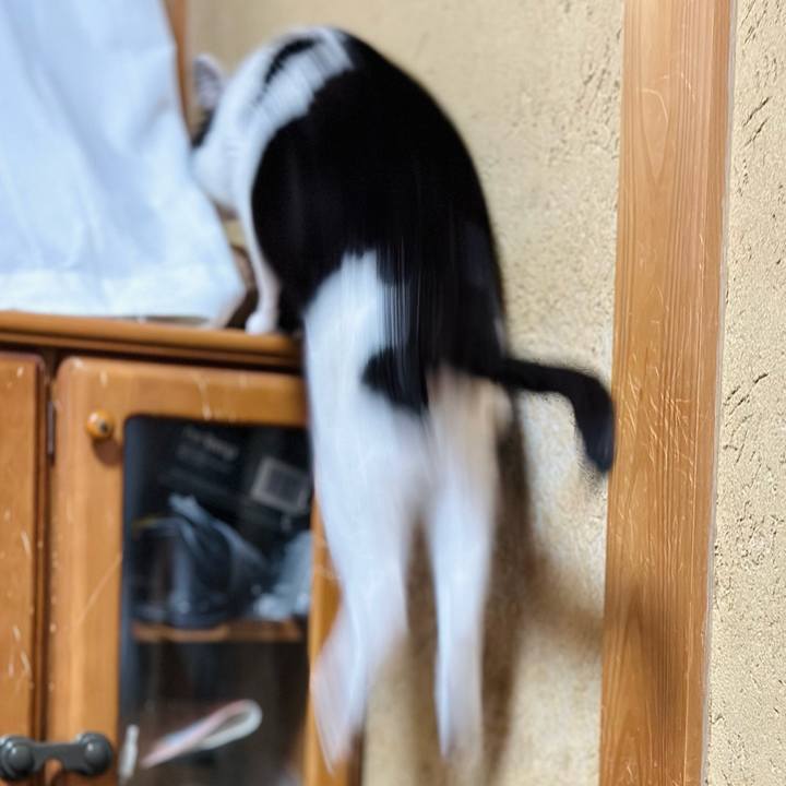 F40fcce9 d4d4 4ee1 9e18 307623737f06 1701048292463