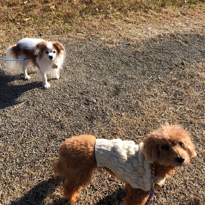 F4100326 c815 46fb 88ec 4f835594135d 1576035952818