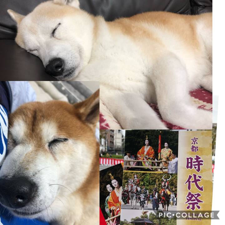 F410181b c160 45de 855c 9c2fb6b20a1d 1572060857866