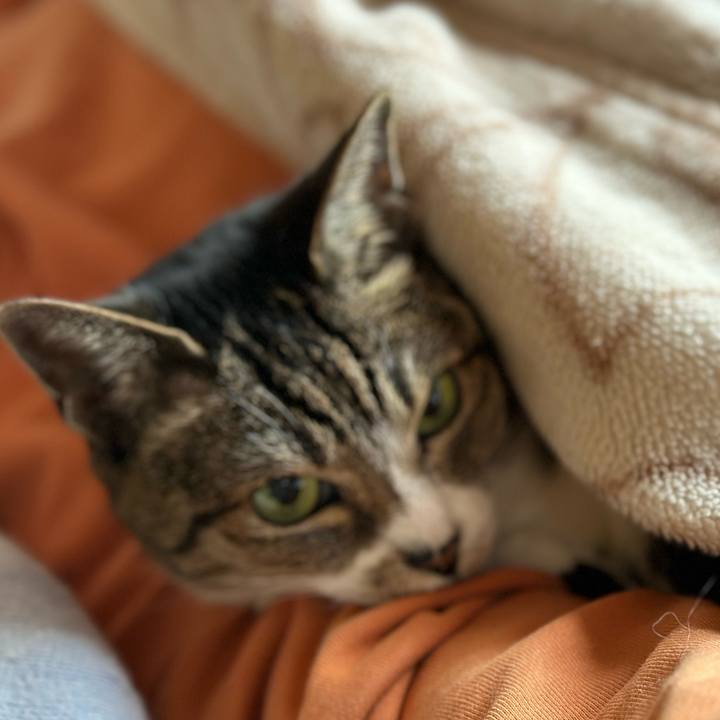 F410abd9 b371 4b7e bc17 b7c09631e581 1682389054264