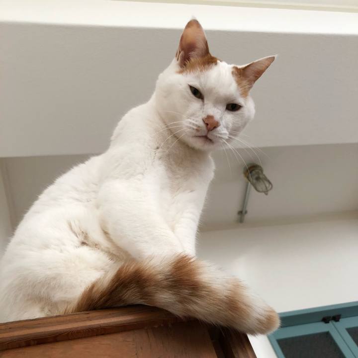 F410bbc7 6a10 4221 829a c8e52d2feb5a 1646434953645