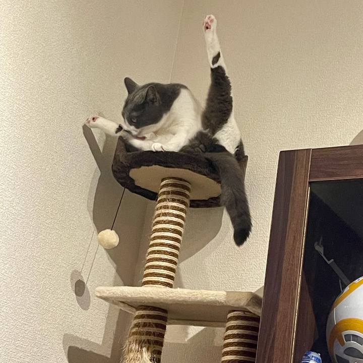 F4115449 b5e4 45d7 9224 b225d8c43ecf 1699002065085