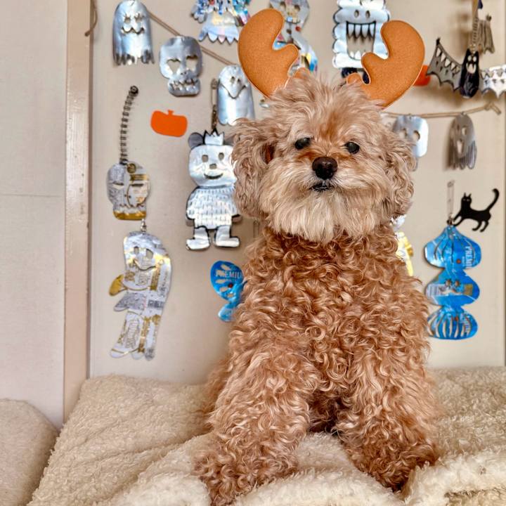 F41165f3 c155 4418 b433 9a3766618bfa 1765499566911