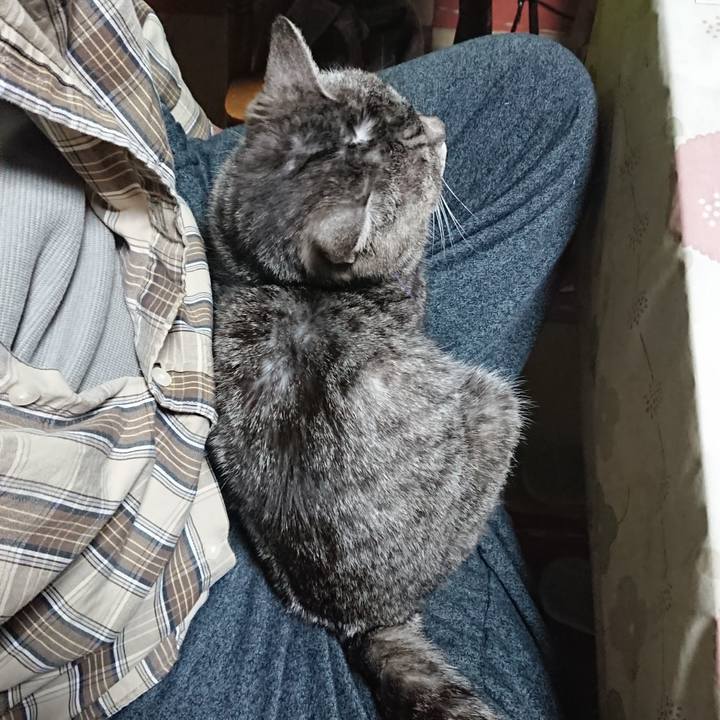 F4116962 6b4b 4701 bee9 7f18a0ba0c1f 1583787743771