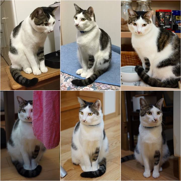 F411702b 0398 47b5 babc 02674e209cfb 1512100675306