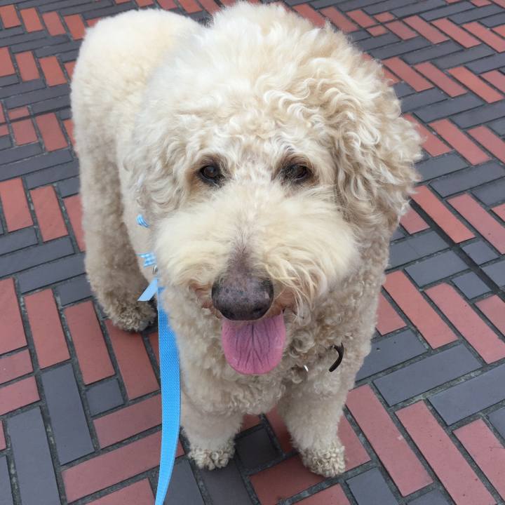 F4117254 3263 4464 a3af 6e651680f91a 1529676060432