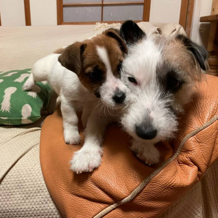 F4117d65 62de 41c9 aae2 c7fb7001a857 1616065977913