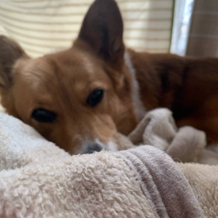 F4118f5a df5b 4edd 88b9 90a53f60d61b 1649054594852