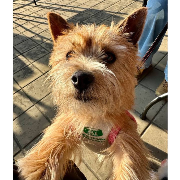 F411942b ec50 403a b6c6 52c81f0264ef 1742505691810