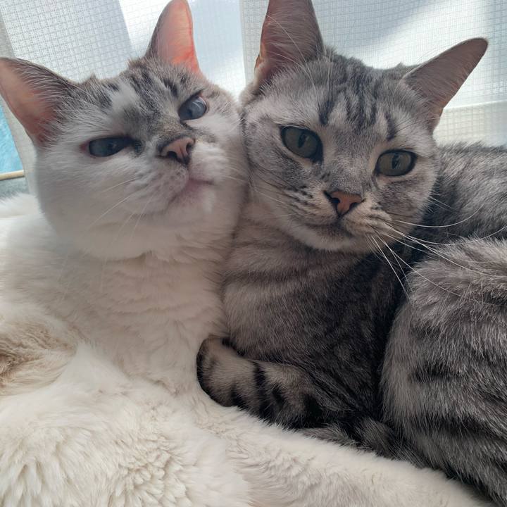 F411990c 06db 476e a863 90355faf776a 1673407024407