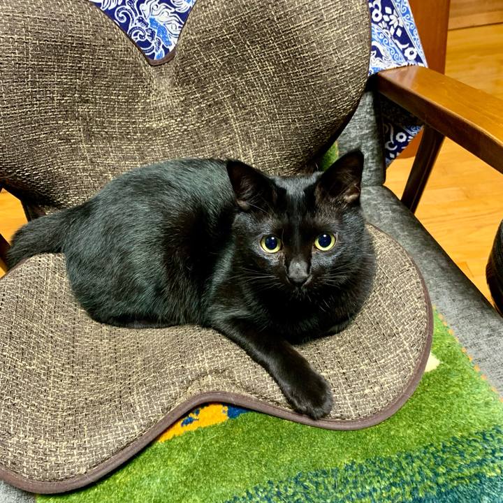 F411a292 40d4 487f a0c4 aeab1d814260 1661173604783