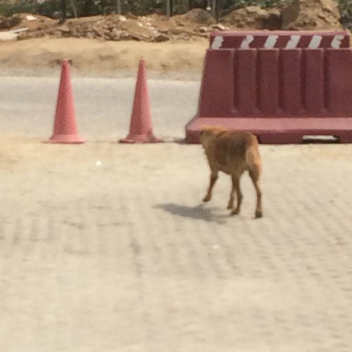 F411b6bb 82ac 49ae 83d1 04d91436dec0 1525057723249