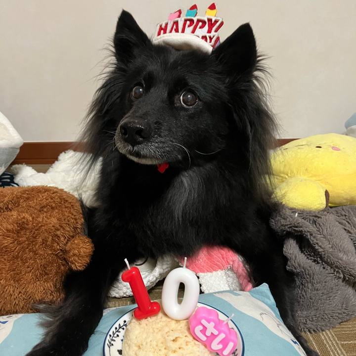 F411c9bf 77e9 4b18 b2ad d4f32a836555 1758722154663