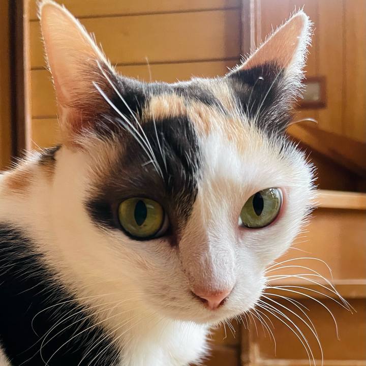 F411d9c5 7e85 4b87 afcb aa1d52c6e690 1633745451060