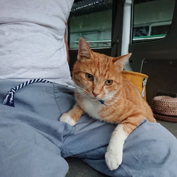 F4120127 4333 4243 a6d7 4b94ca2a1a58 1599728338435