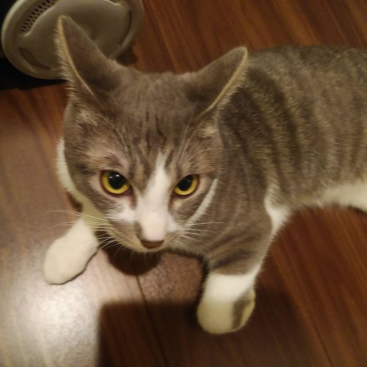 F4120d89 3193 4c44 997d 6e19c27e8b04 1588165939752