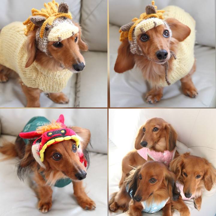 F4120f73 cddc 4e8b a472 234dc2f71861 1767249319538