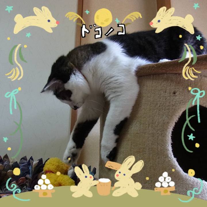 F4121357 d726 4b2e 8d25 e703259eff58 1727299490249