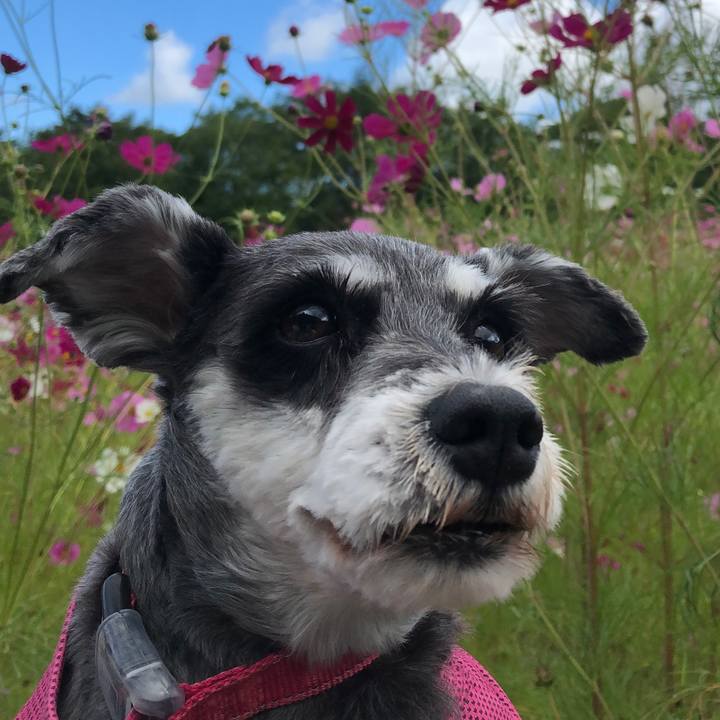 F41241ab 1e84 470d a723 7e51b2d18a2d 1694930006198