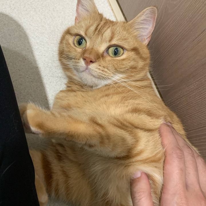 F4124a63 8f4b 4c44 8d5f 6453723832c0 1627164022872