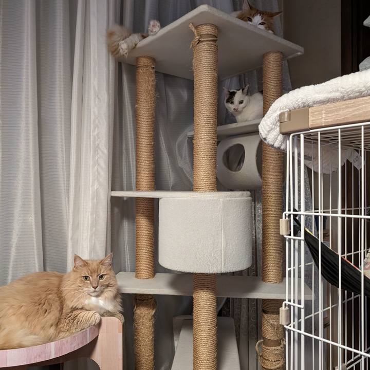 F4125867 0d02 4835 84ea 9293dc98a611 1709993086752