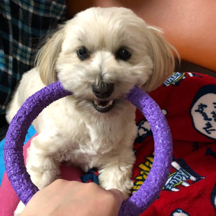 F412610c 928d 46d6 b90c c7c64f237914 1516007432579