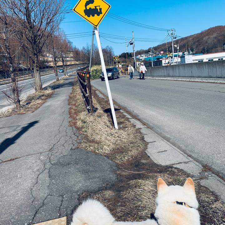 F4127f11 b64d 453d 9676 8770567bb160 1585620371532