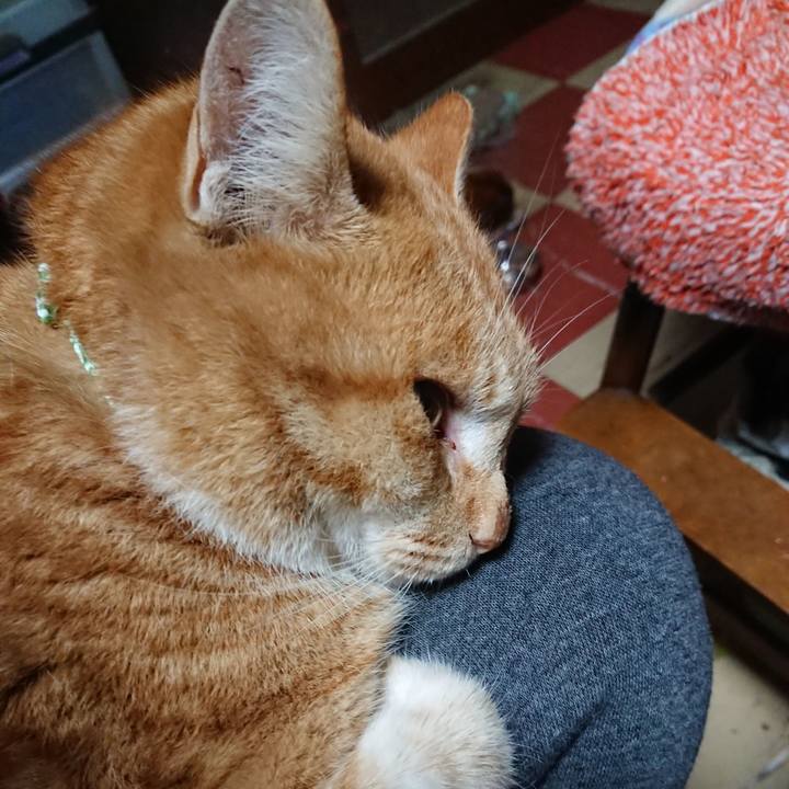 F412a136 668b 4026 bc8b 23466b871d07 1580072481700