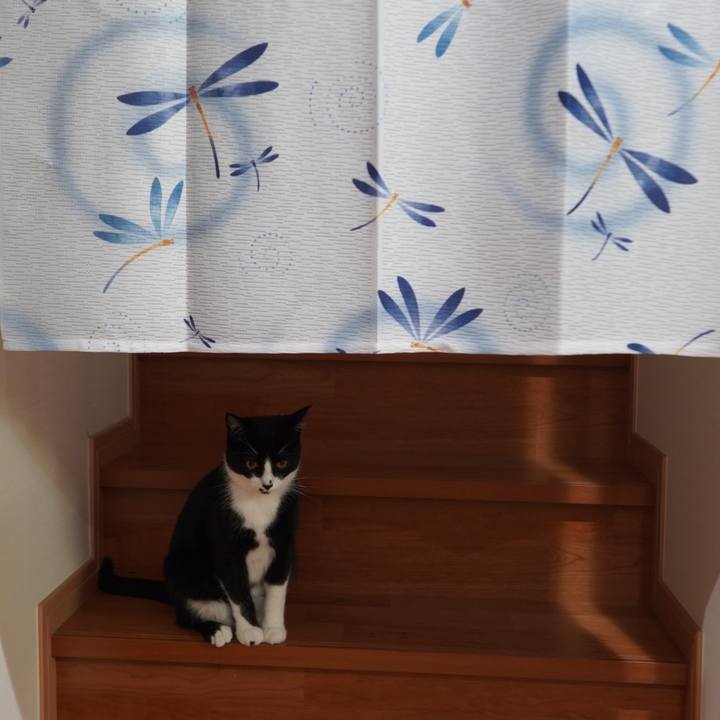 F412a8c1 032e 4bb2 9050 140cebb82ae9 1593528140892