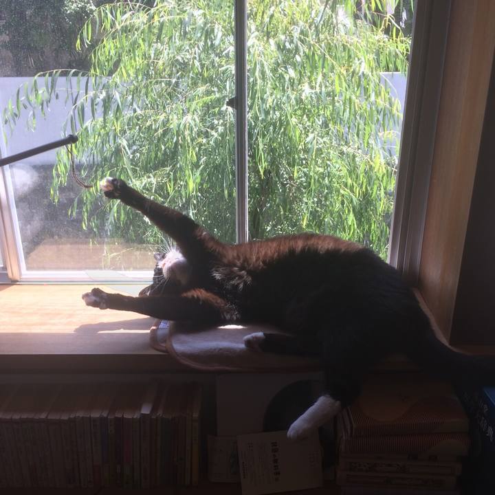 F412dafa 1b48 4bd7 ba25 1e891a8035d4 1526782350218