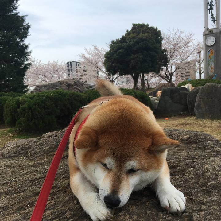 F412e352 2cfb 439d 85a2 6e558b55b434 1616893490589