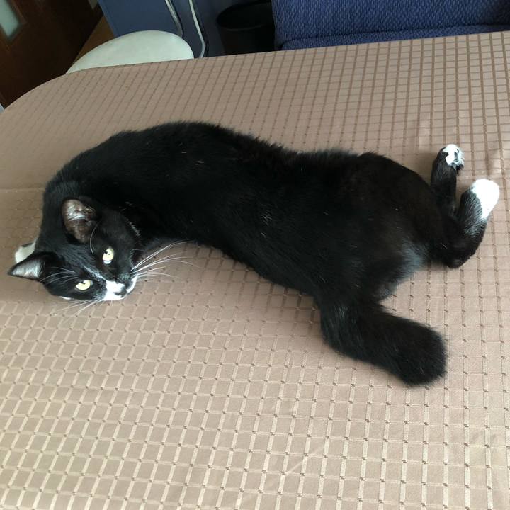 F412f2f4 a341 4196 992f 31fdc04842bb 1633319921583