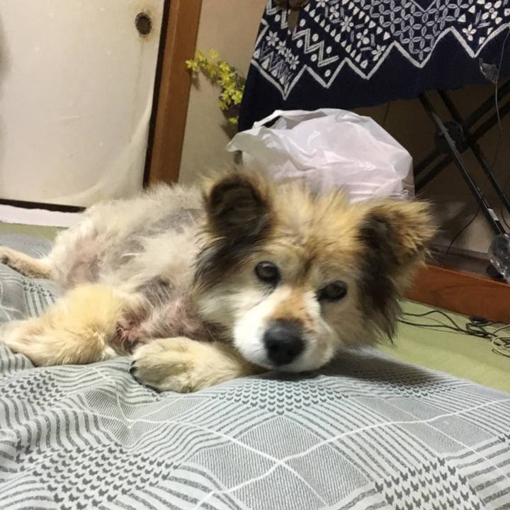 F4132f93 ba67 4964 bc31 2f2952aefb58 1572078564312