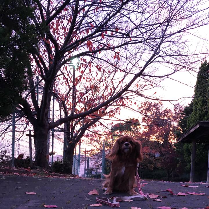 F4137f6c b441 4ca8 8a9b 639a10f4d8d6 1574585318796