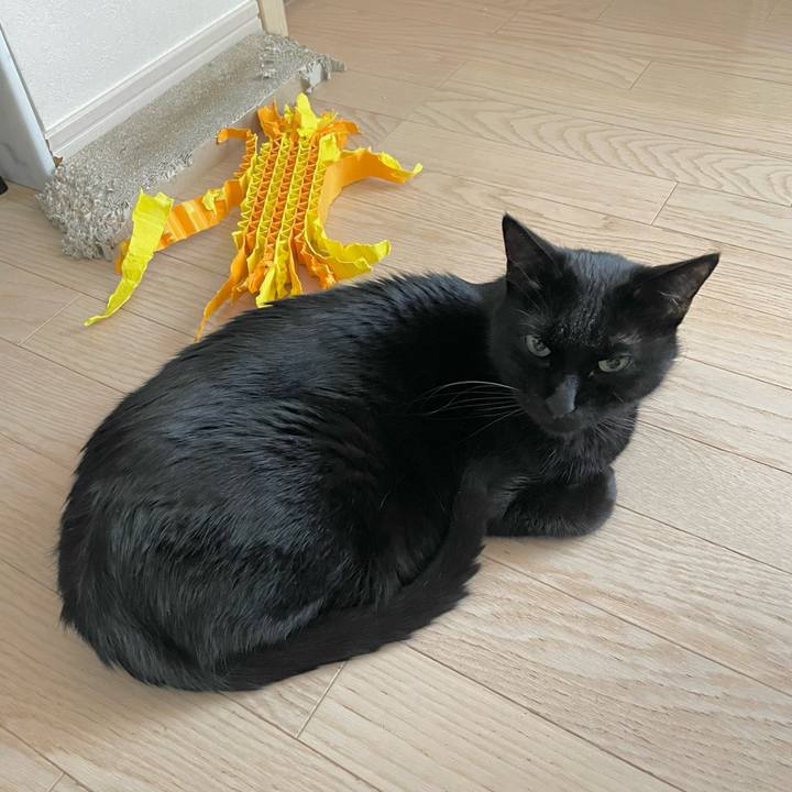 F413e584 1c27 403a 8de2 4351817999ca 1704597929141