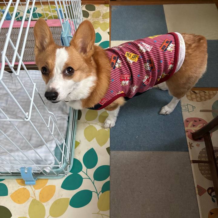 F4143873 3a75 45f6 9751 caea05c5ed3c 1763102558360