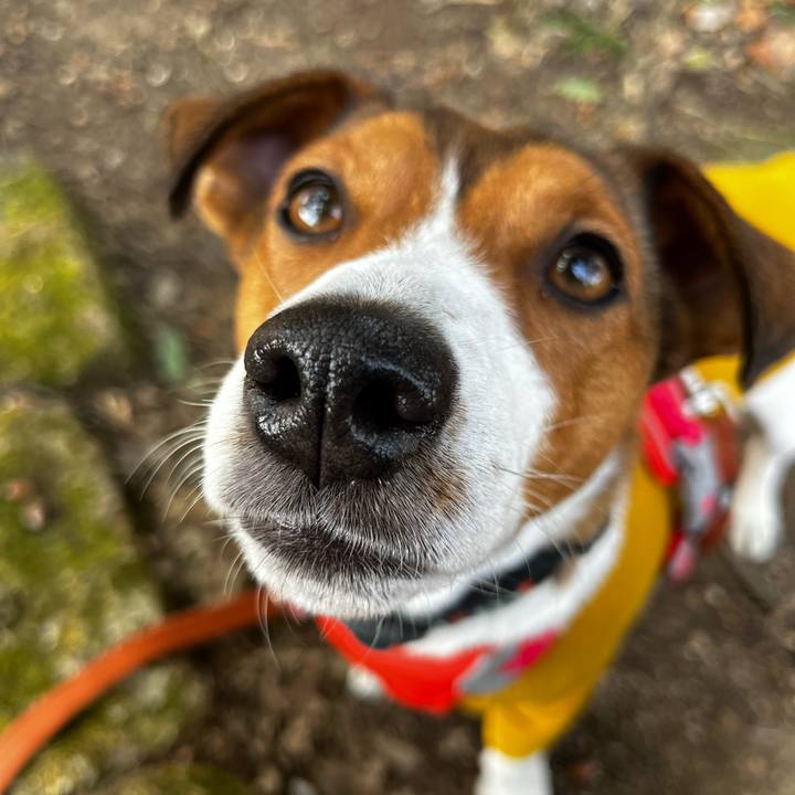 F4144693 a730 4d95 8c30 2b7b41fd17e5 1739695651697