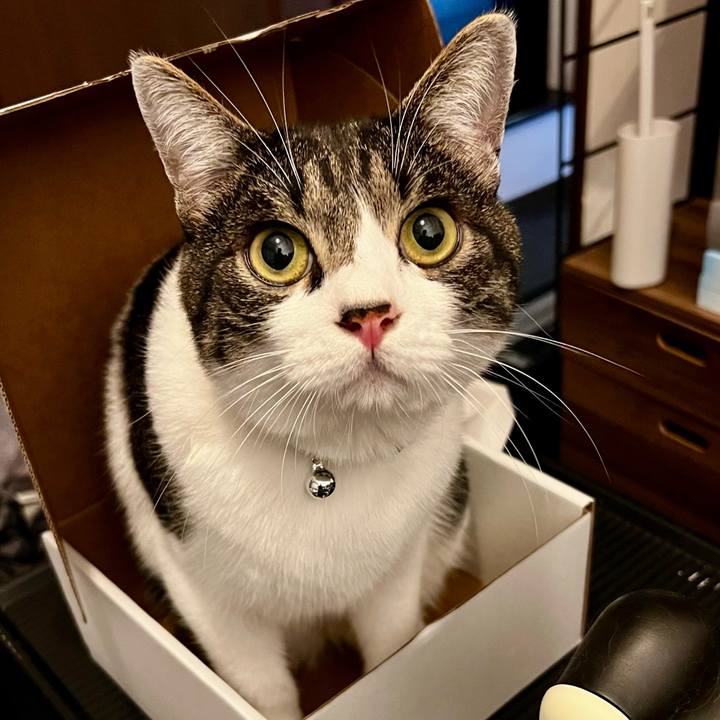 F4145cd0 1b7c 4dc2 bd57 394ecaa8c256 1758981952955