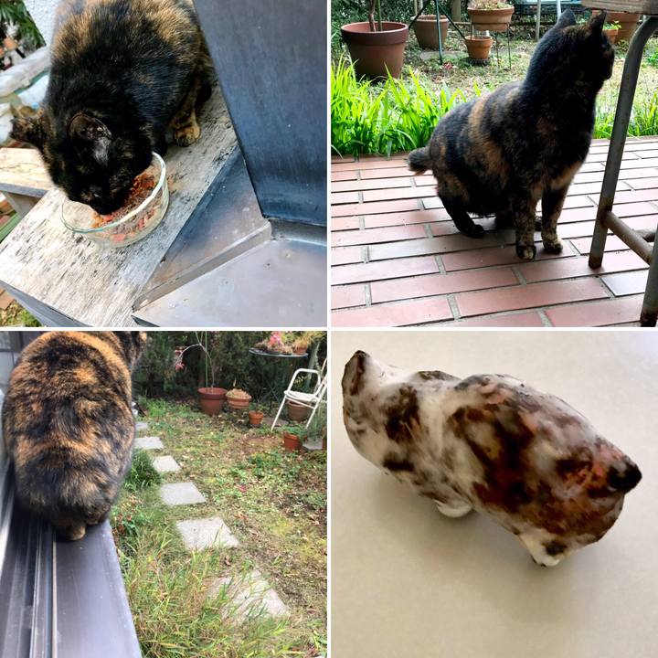 F4146508 b8cf 45bb a2e5 630f026bb174 1548640126820