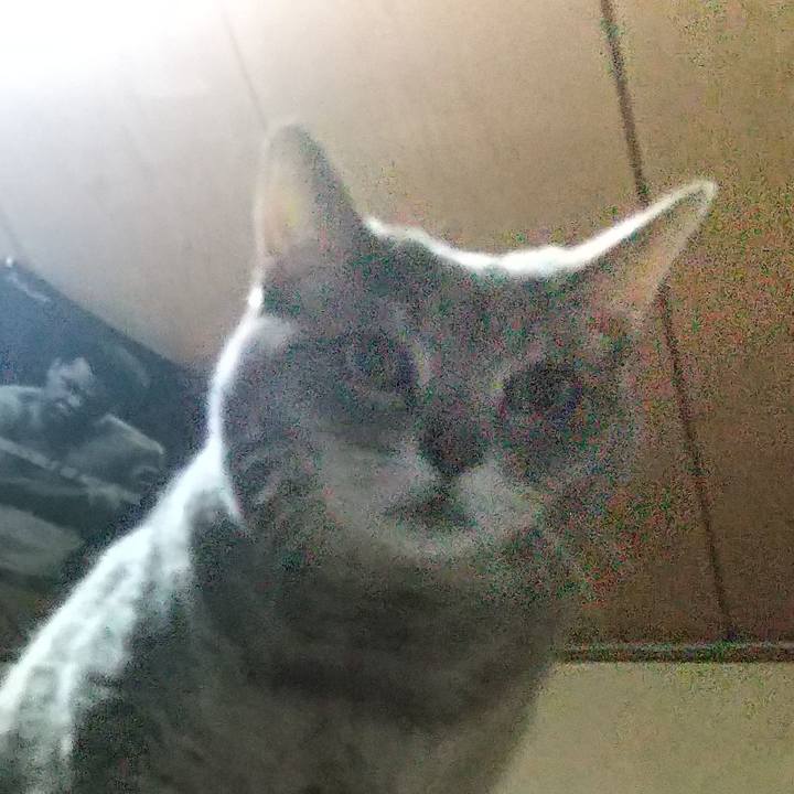 F4146f83 8d8f 49a8 8804 bad4461f8589 1607550137869